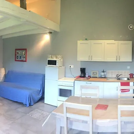 Apartment Du Chateau *